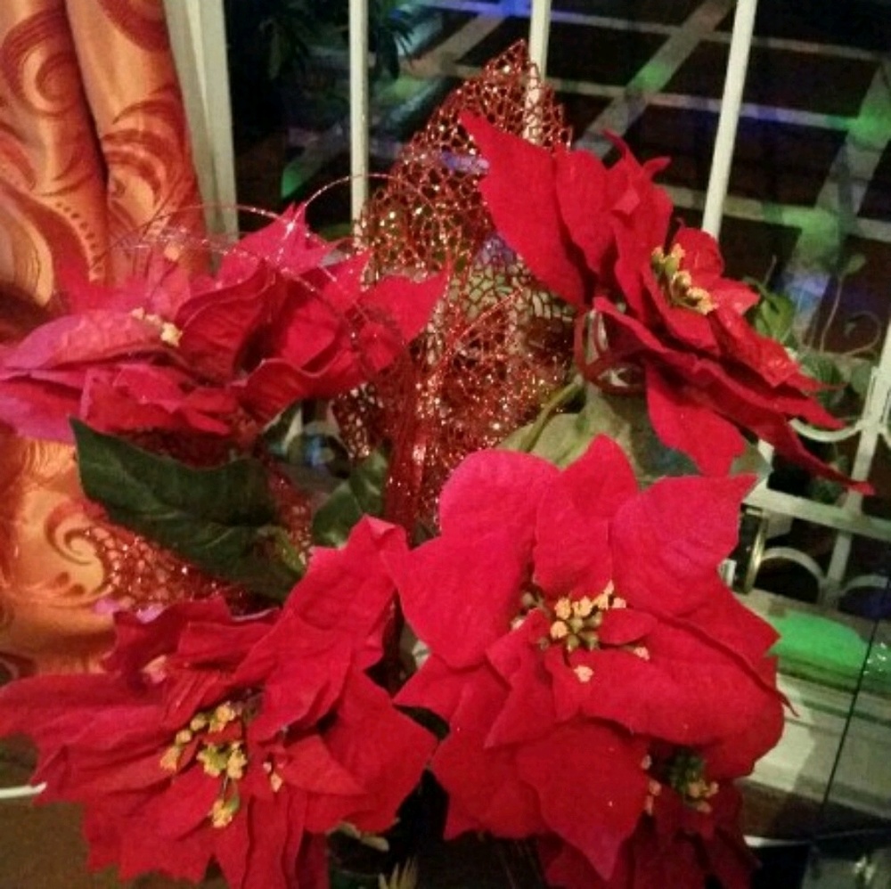 Meet your Posher, Mariana